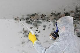 Asbestos and Lead Testing During Mold Inspection in Paulina, LA